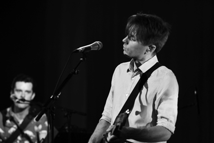 the wombats